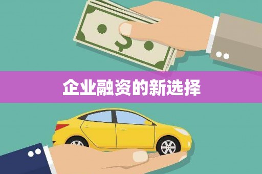 八德企业融资的新选择