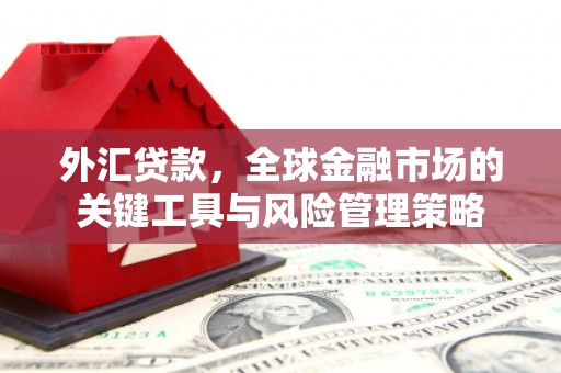 八德外汇贷款，全球金融市场的关键工具与风险管理策略