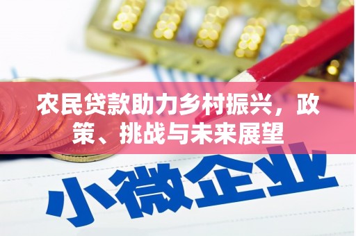 八德农民贷款助力乡村振兴，政策、挑战与未来展望