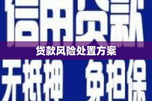 八德贷款风险处置方案