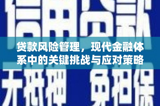 八德贷款风险管理，现代金融体系中的关键挑战与应对策略
