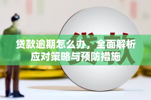 八德贷款逾期怎么办，全面解析应对策略与预防措施