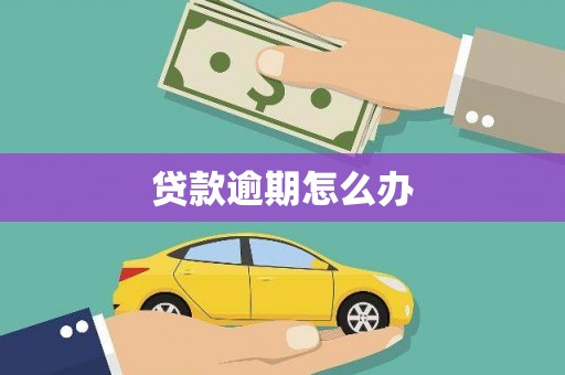 八德贷款逾期怎么办