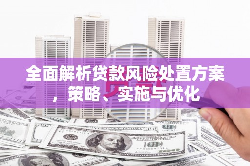 八德全面解析贷款风险处置方案，策略、实施与优化