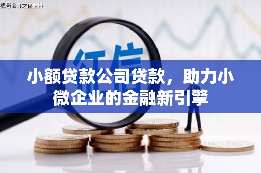 八德小额贷款公司贷款，助力小微企业的金融新引擎