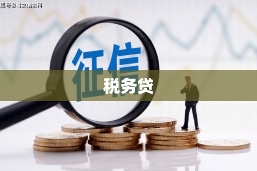 八德税务贷
