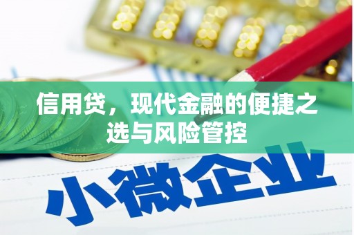 八德信用贷，现代金融的便捷之选与风险管控