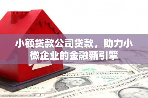 八德小额贷款公司贷款，助力小微企业的金融新引擎