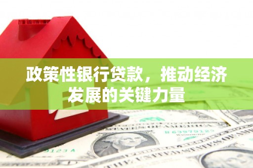 八德政策性银行贷款，推动经济发展的关键力量