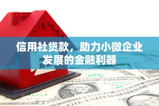 八德信用社贷款，助力小微企业发展的金融利器