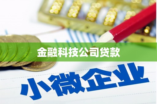 八德金融科技公司贷款