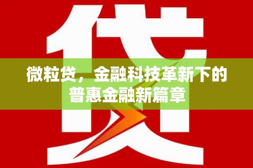 八德微粒贷，金融科技革新下的普惠金融新篇章