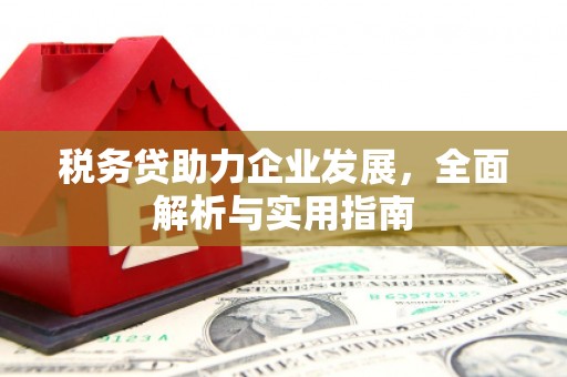 八德税务贷助力企业发展，全面解析与实用指南