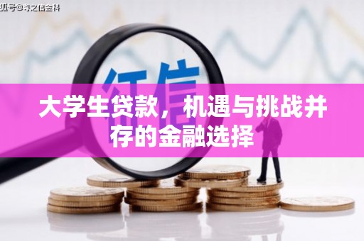 八德大学生贷款，机遇与挑战并存的金融选择