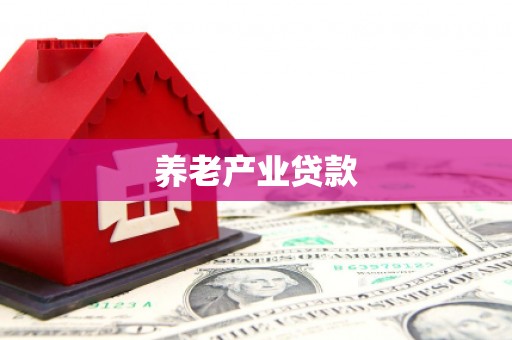 八德养老产业贷款