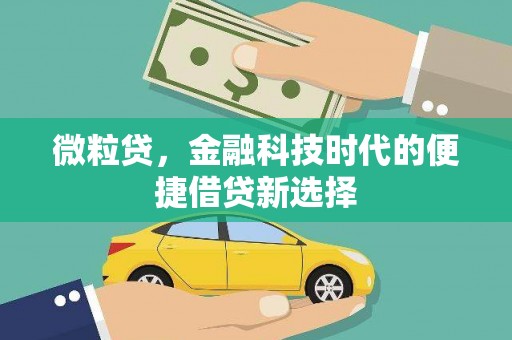 八德微粒贷，金融科技时代的便捷借贷新选择