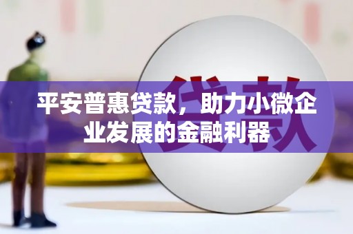 八德平安普惠贷款，助力小微企业发展的金融利器