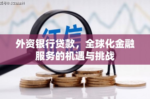 八德外资银行贷款，全球化金融服务的机遇与挑战
