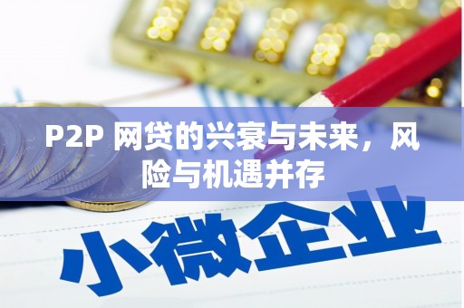 八德P2P 网贷的兴衰与未来，风险与机遇并存
