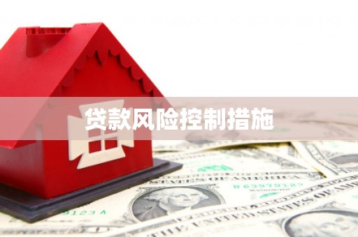 八德贷款风险控制措施