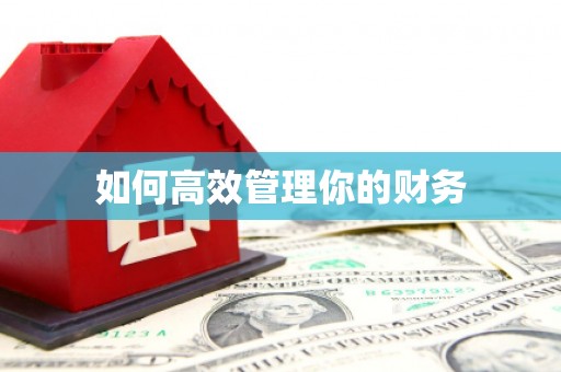 八德如何高效管理你的财务
