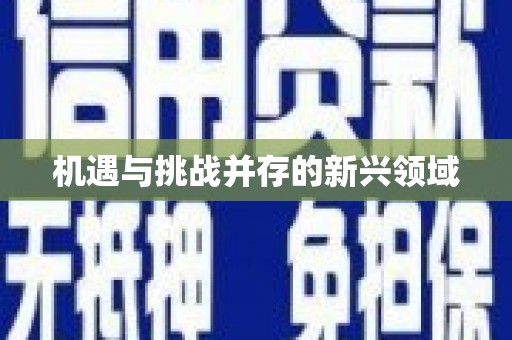 八德机遇与挑战并存的新兴领域