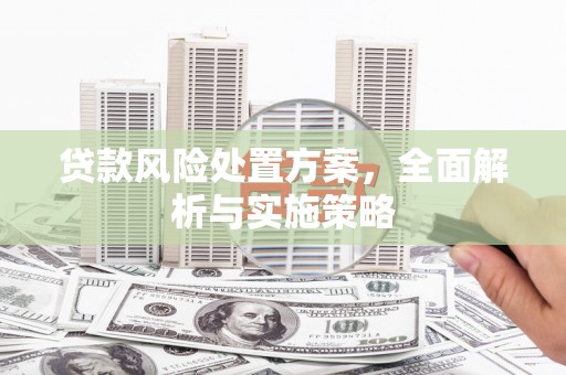 八德贷款风险处置方案，全面解析与实施策略
