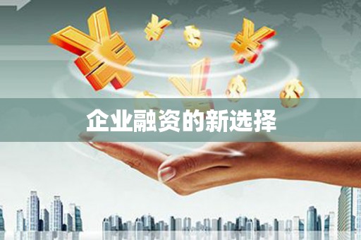 八德企业融资的新选择
