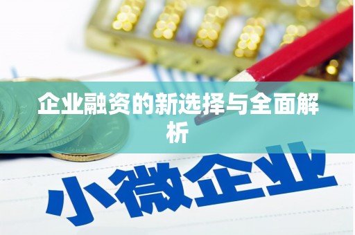 八德企业融资的新选择与全面解析