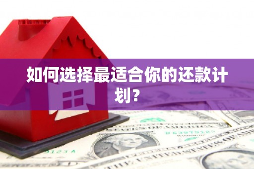 八德如何选择最适合你的还款计划？