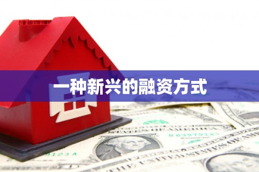 八德一种新兴的融资方式