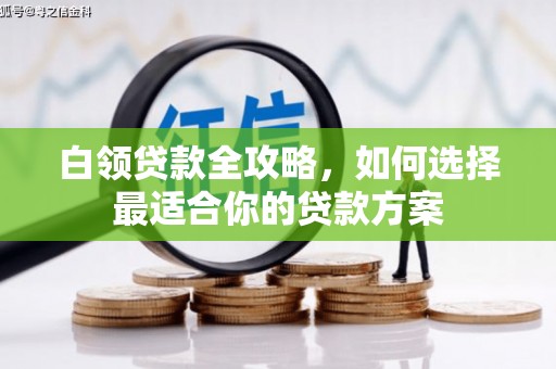 八德白领贷款全攻略，如何选择最适合你的贷款方案