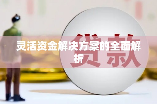 八德灵活资金解决方案的全面解析