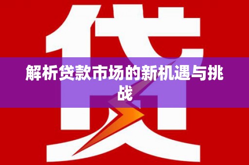 八德解析贷款市场的新机遇与挑战